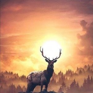 Meet your Posher, Larissa